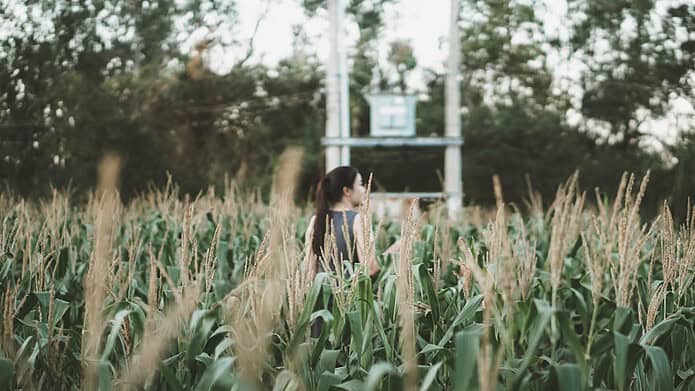 Photo Farm field