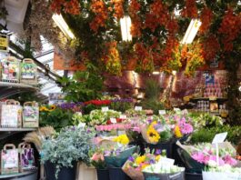 Alles, was du über die Einzelhandelskaufmann Ausbildung wissen musst Photo Retail store