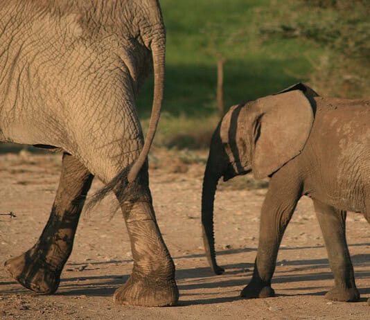 Abstillen: Wann ist der richtige Zeitpunkt? Photo Mother and baby