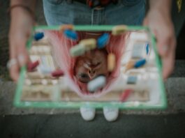 Homöopathie bei Hexenschuss: Meine Erfahrungen Photo Homeopathic pills