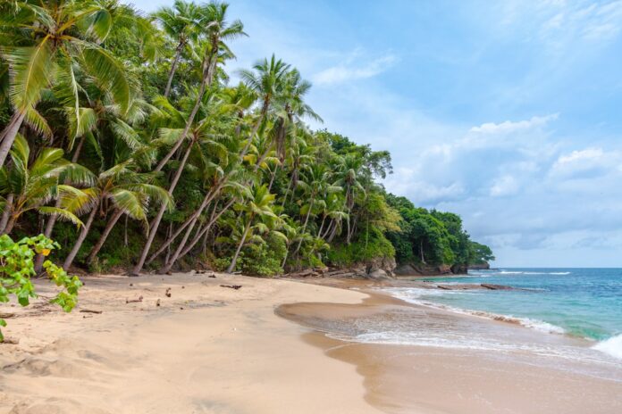 Photo Tropical beach
