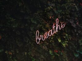 Entdecke die Vorteile der Blubberschlauch Stimmtherapie Photo Voice therapy