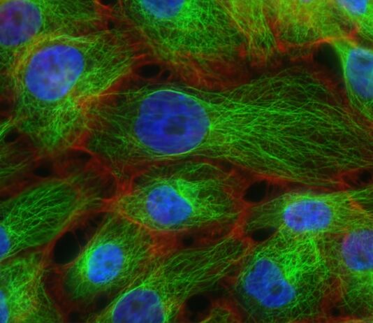 Photo Handwriting sample