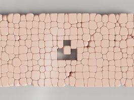 Photo Mensa logo