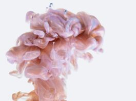 Hochbegabte Erwachsene: Wie du deine Intelligenz nutzen kannst Photo Brain scan