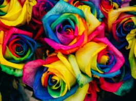 Autismus leicht verstehen: Tipps für dich Photo Colorful puzzle