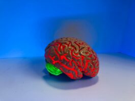 Photo Brain scan