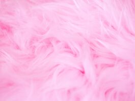 Alles über Autismus Spektrum Störungen: Was du wissen solltest Photo Sensory overload