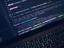 Photo Brain function