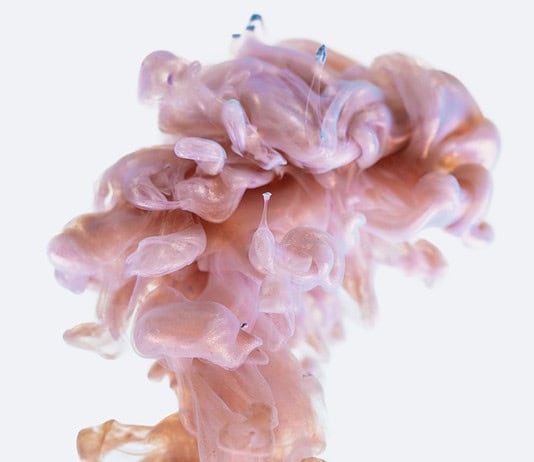 Photo Brain scan