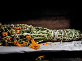 Homöopathie gegen Haarausfall: Meine Erfahrungen Photo Homeopathic remedies