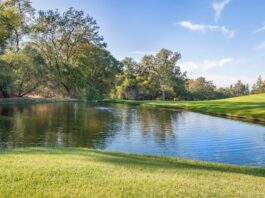 Finde deine Hebamme mit Hebammenfinder Photo Midwife directory