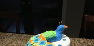 Photo baby shower gift