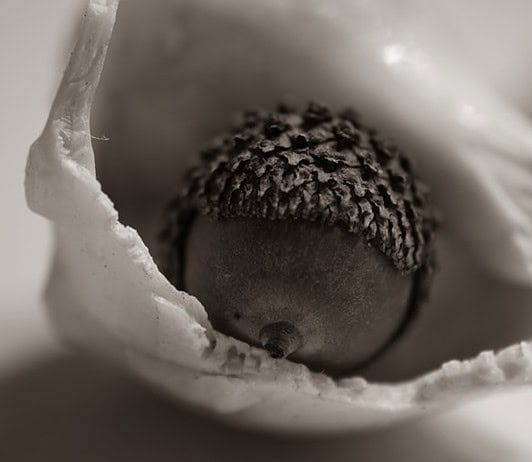 Photo Vaginal birth