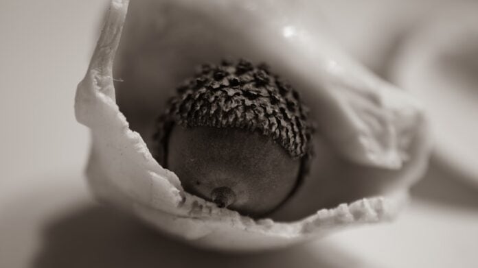 Photo Vaginal birth
