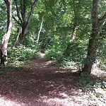 Im Stadtpark von Neuruppin