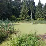 Im Stadtpark von Neuruppin