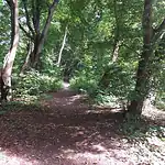 Im Stadtpark von Neuruppin