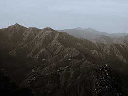 Photo Ingrid van Bergen