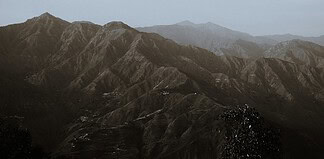 Photo Ingrid van Bergen