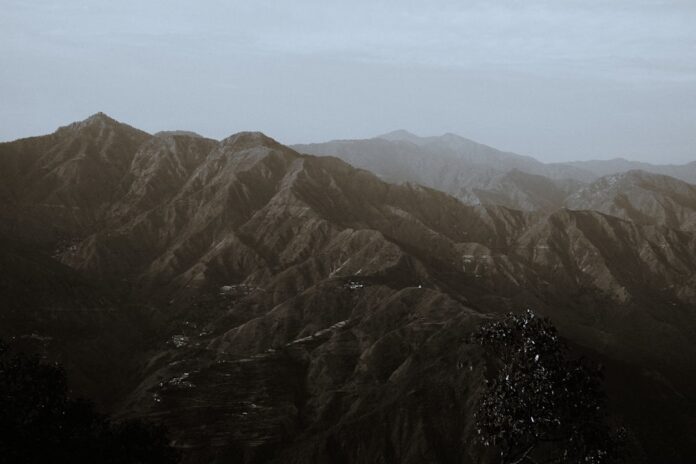 Photo Ingrid van Bergen