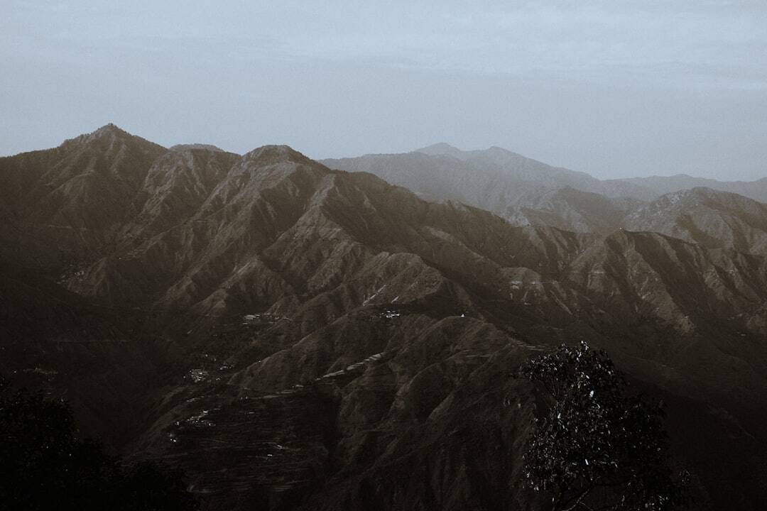 Ingrid-van-Bergen-Du-und-deine-Deutschkenntnisse