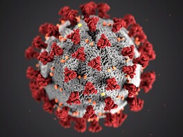 Photo adenovirus cold