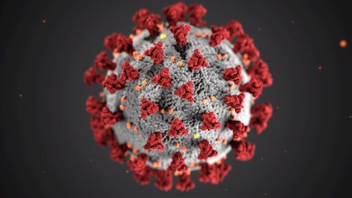 Photo adenovirus cold