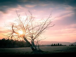 Entdecke die Wasserkuppe: Ein Paradies für Outdoor-Abenteuer! Photo wasserkuppe