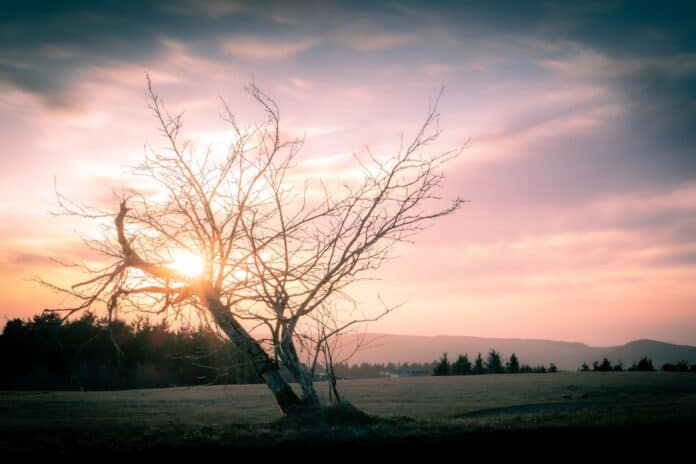 Photo wasserkuppe