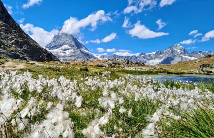 Photo zermatt