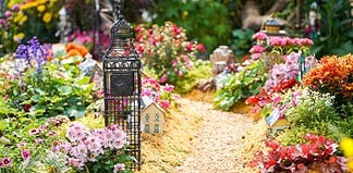 Photo Garden design