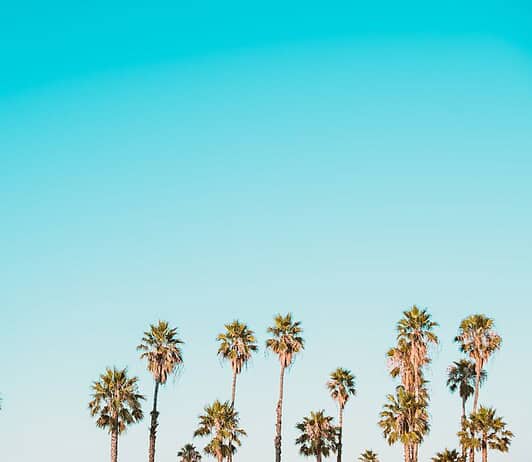 Alles, was du über Photovoltaik Anlagen wissen musst Photo Photovoltaic system